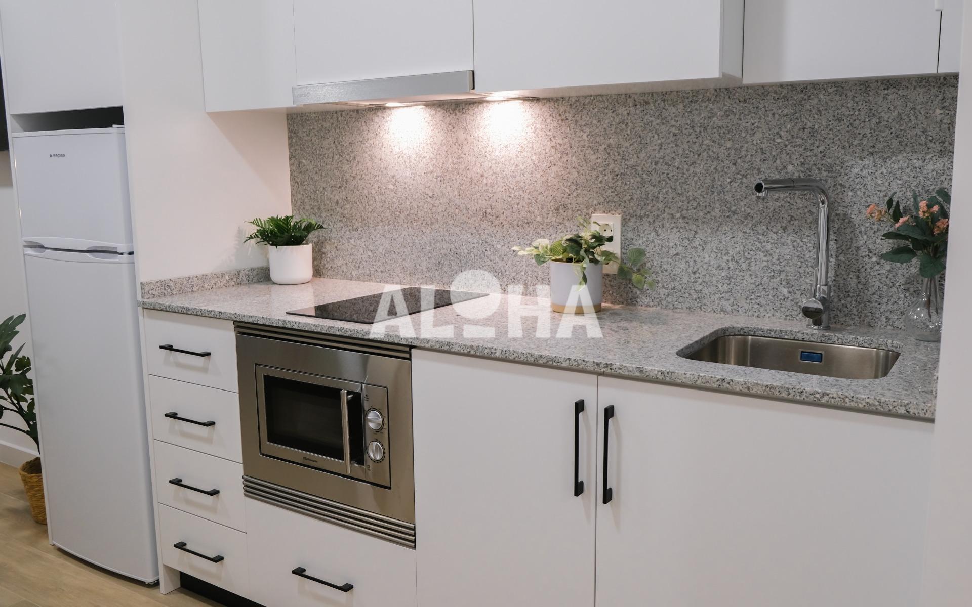 APARTAMENTOS ALFARA. PARA ESTUDIANTES Apartamento en Alfara del Pariarca, Alfara del Patriarca – A0506-H13-4